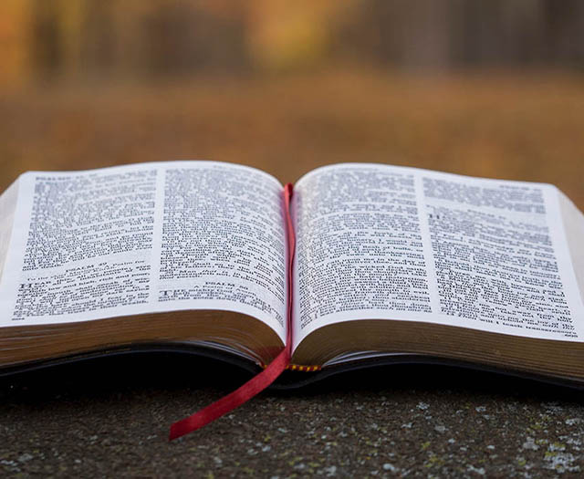 Adquisiciones Bibliográficas en Noviembre de 2025