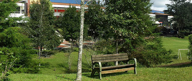 Eventos del Centro de Lenguas