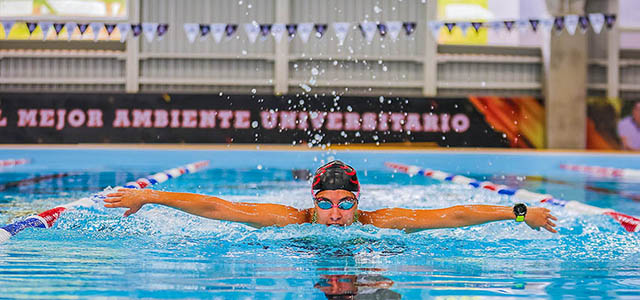 Noticias de Deportes