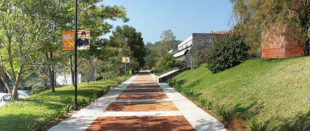 Noticias de Psicología