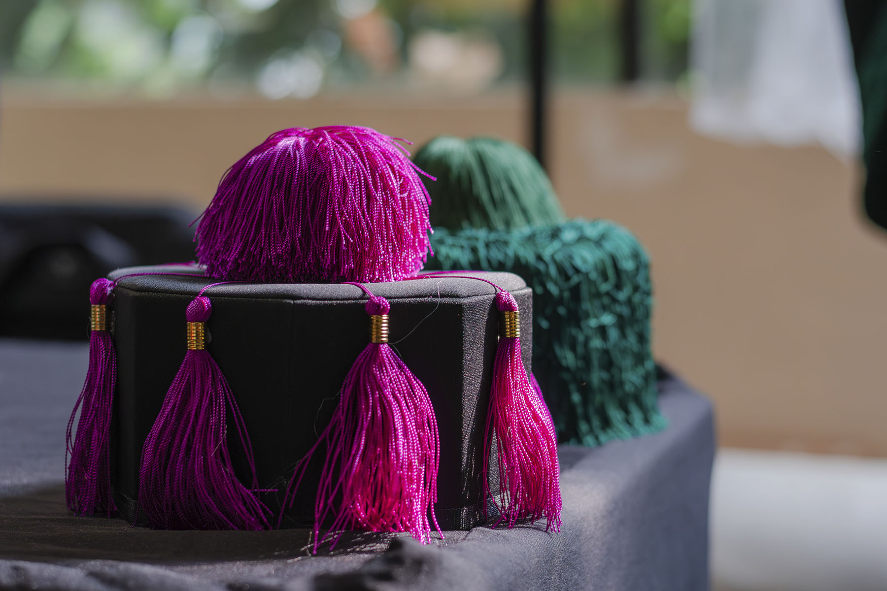 5 / 154 - Ceremonia Solemne de Conferimiento de Grado: Galería 5 / 154 - Ceremonia Solemne de Conferimiento de Grado: Galería