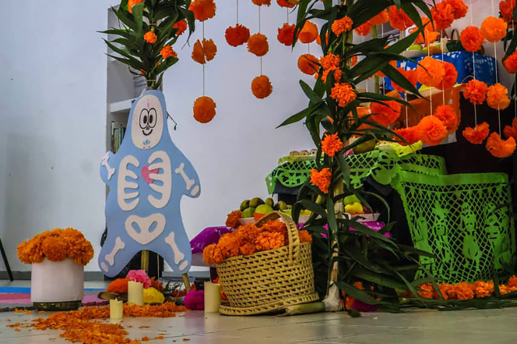 5 / 5 - Acción Positiva que Transforma Vidas en IMIDI 5 / 5 - Acción Positiva que Transforma Vidas en IMIDI