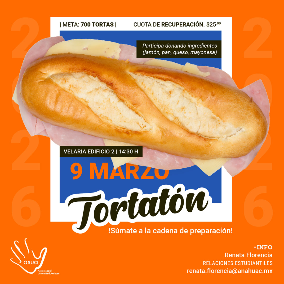 Cerrar vista en pantalla completa Tortatón