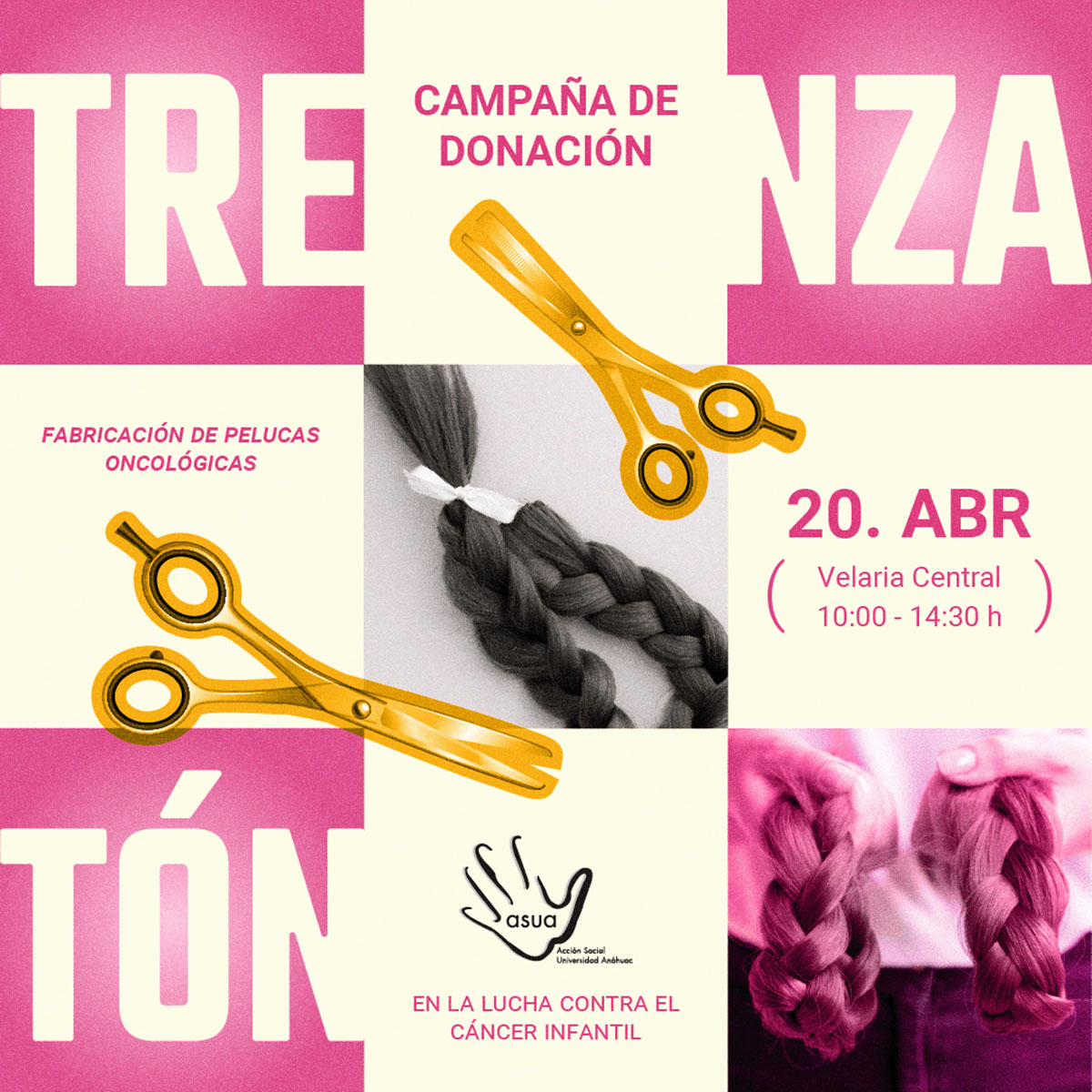 Trenzatón: Campaña de Donación