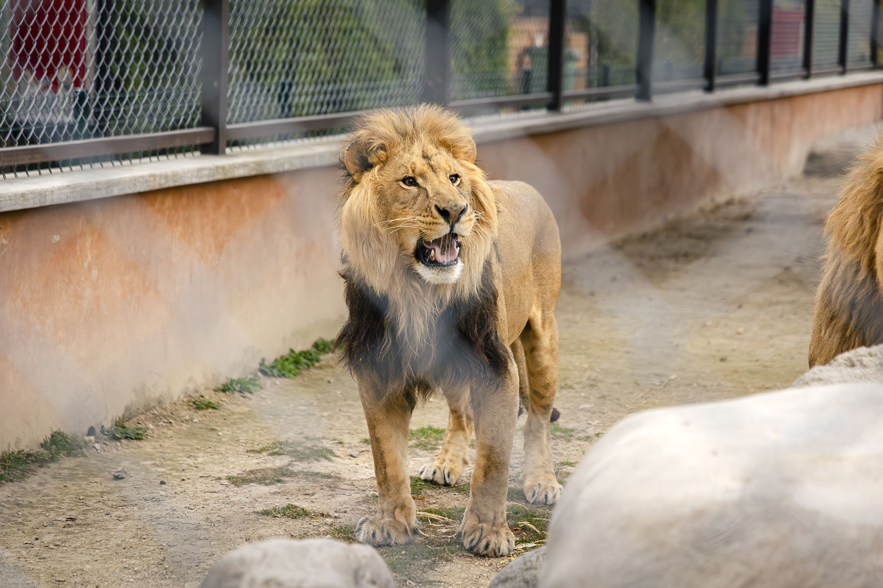 32 / 35 - Renovación de Convenio con el Ayuntamiento de Orizaba 32 / 35 - Renovación de Convenio con el Ayuntamiento de Orizaba