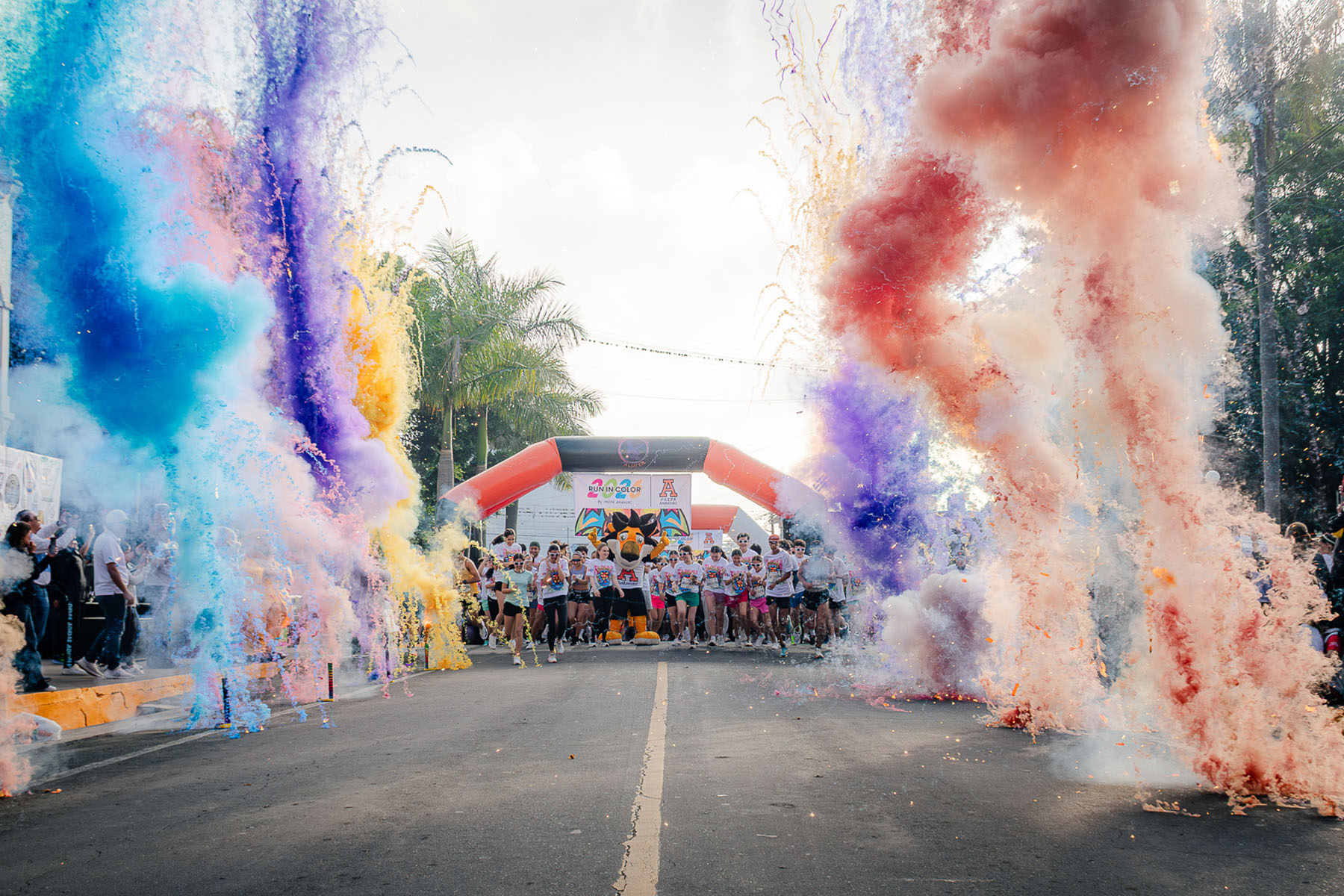 19 / 81 - Run in Color 2026: Galería 19 / 81 - Run in Color 2026: Galería
