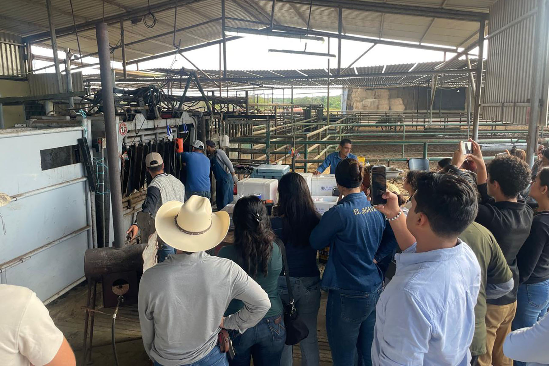 3 / 4 - Alumnos Visitan el Rancho Ganadero Santa Rita 3 / 4 - Alumnos Visitan el Rancho Ganadero Santa Rita