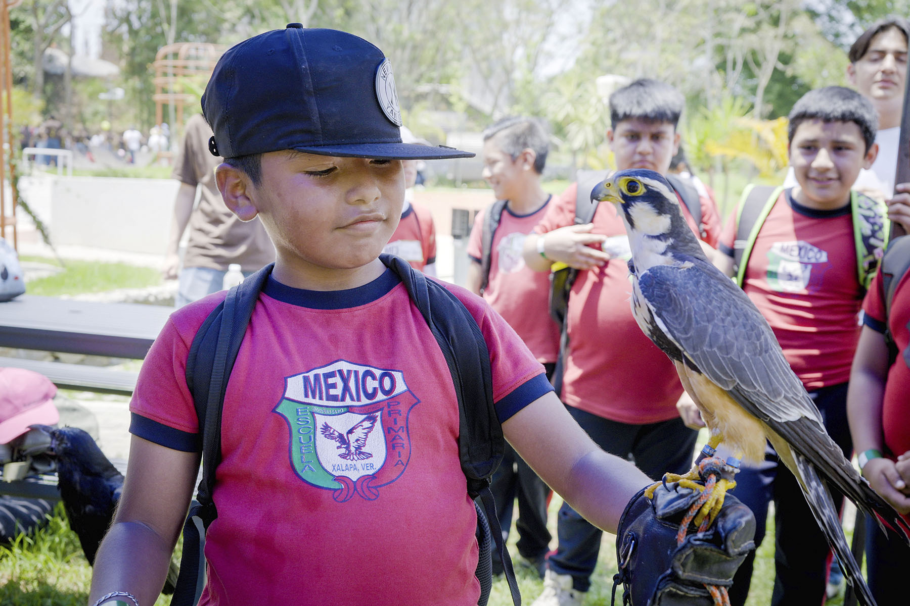21 / 36 - La Comunidad Anáhuac Veracruz y Soñar Despierto Transforman el Día del Niño 21 / 36 - La Comunidad Anáhuac Veracruz y Soñar Despierto Transforman el Día del Niño