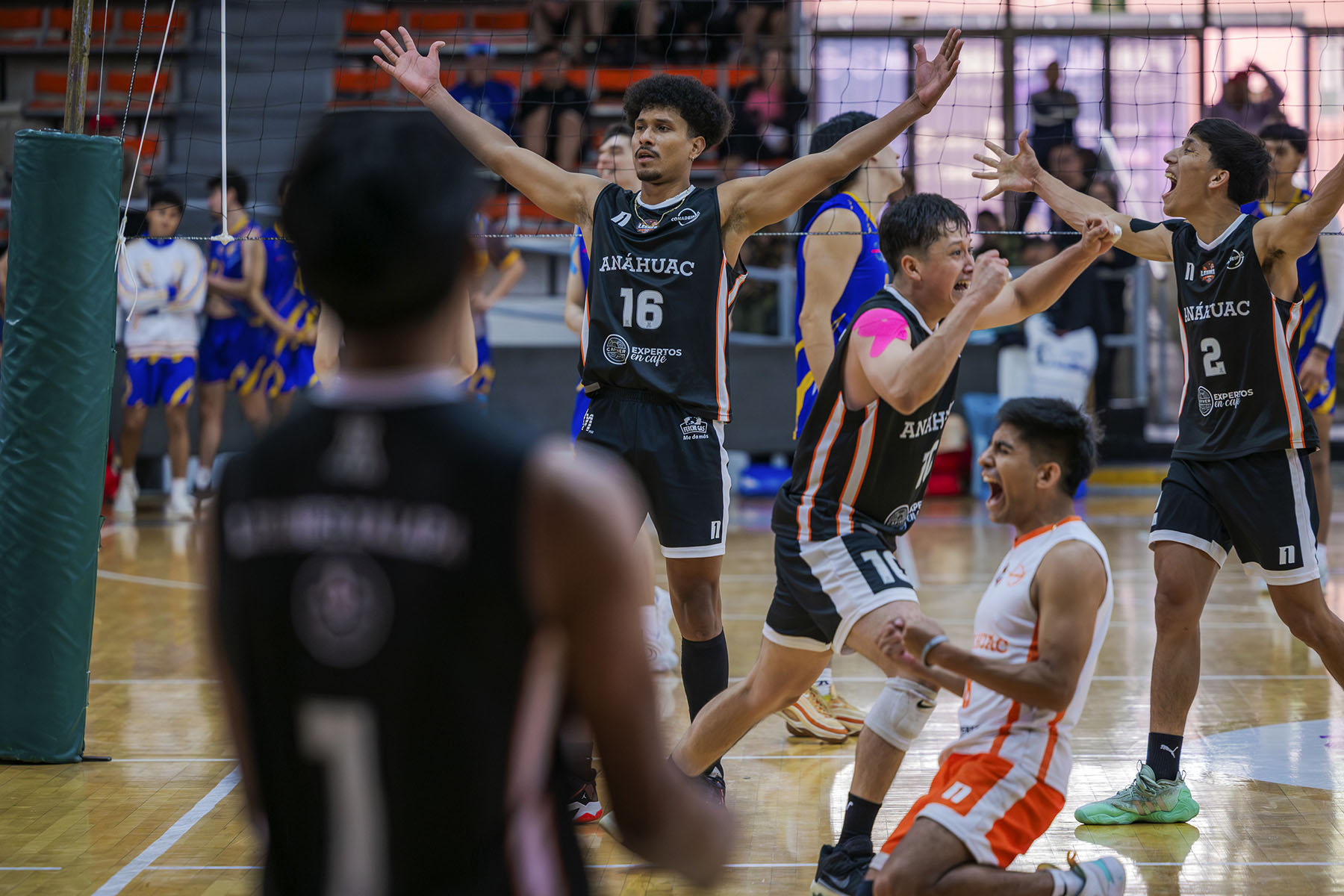 3 / 9 - Leones Conquistan el Tercer Lugar Nacional en Voleibol 3 / 9 - Leones Conquistan el Tercer Lugar Nacional en Voleibol