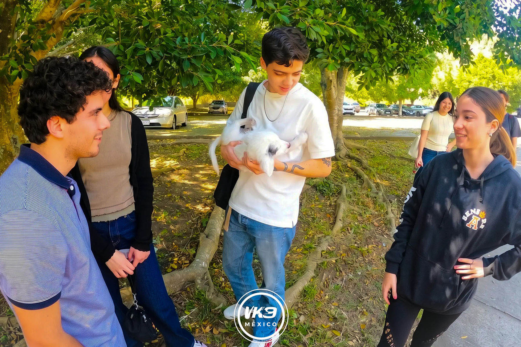 3 / 6 - Voluntariado K9 México: Servicio Social que Trasciende Vidas 3 / 6 - Voluntariado K9 México: Servicio Social que Trasciende Vidas