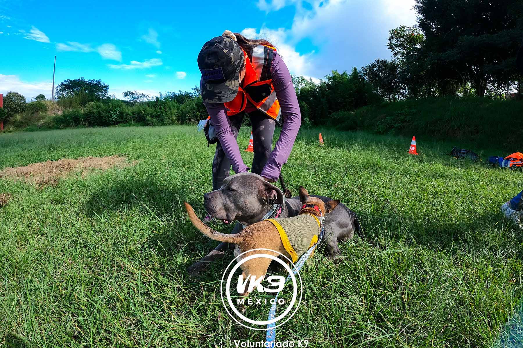 5 / 6 - Voluntariado K9 México: Servicio Social que Trasciende Vidas 5 / 6 - Voluntariado K9 México: Servicio Social que Trasciende Vidas