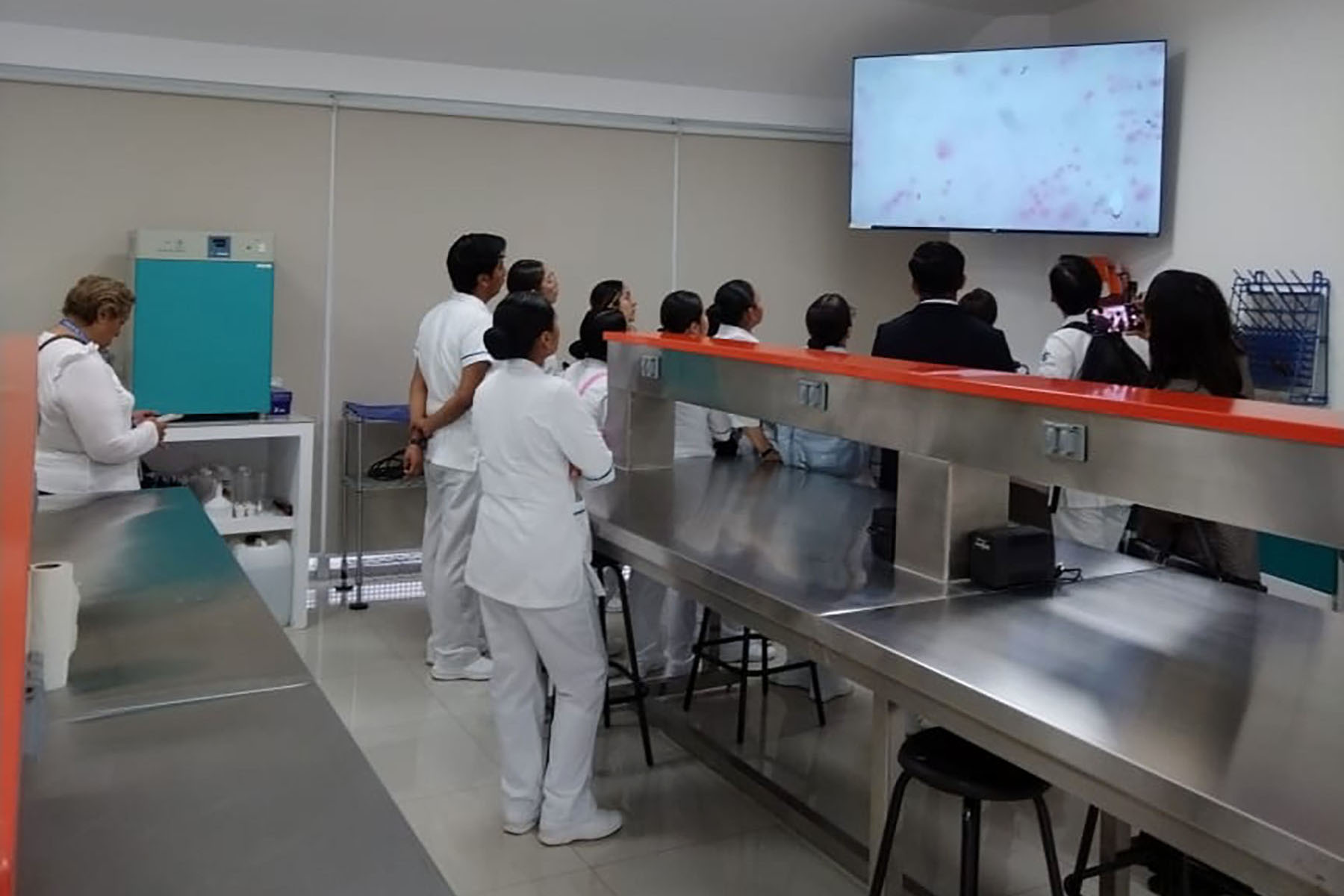 3 / 4 - Escenarios de Simulación y Aprendizaje Clínico 3 / 4 - Escenarios de Simulación y Aprendizaje Clínico
