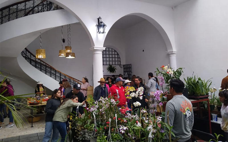 1 / 6 - Museo de la Orquídea: Donde el Compromiso Social Florece 1 / 6 - Museo de la Orquídea: Donde el Compromiso Social Florece