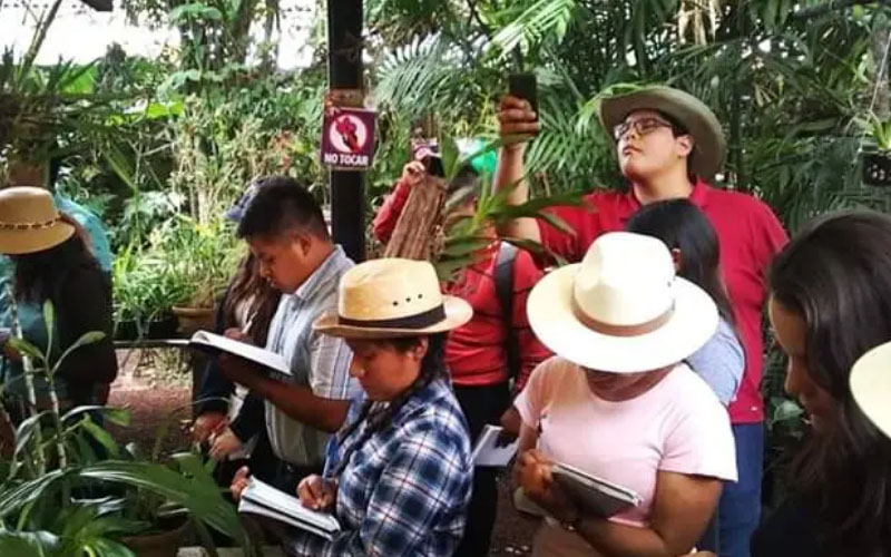 2 / 6 - Museo de la Orquídea: Donde el Compromiso Social Florece 2 / 6 - Museo de la Orquídea: Donde el Compromiso Social Florece