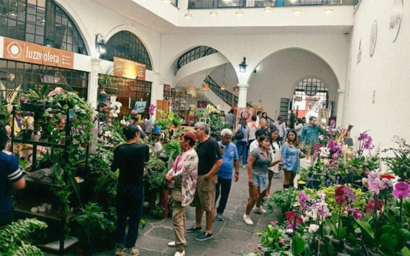 3 / 6 - Museo de la Orquídea: Donde el Compromiso Social Florece 3 / 6 - Museo de la Orquídea: Donde el Compromiso Social Florece