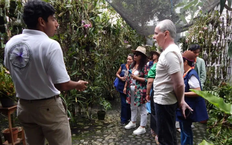5 / 6 - Museo de la Orquídea: Donde el Compromiso Social Florece 5 / 6 - Museo de la Orquídea: Donde el Compromiso Social Florece