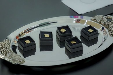 Nuevo Consejo Consultivo Académico de Terapia Física y Rehabilitación