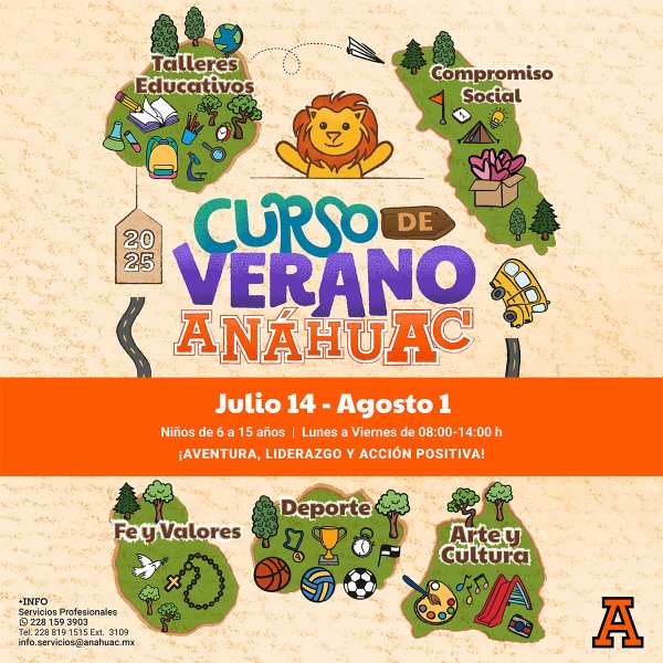 Curso de Verano 2025