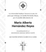 Miniatura 8 / 20