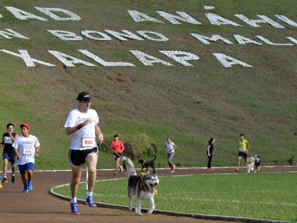 Corriendo con mi Mejor Amigo: Una Carrera con Causa