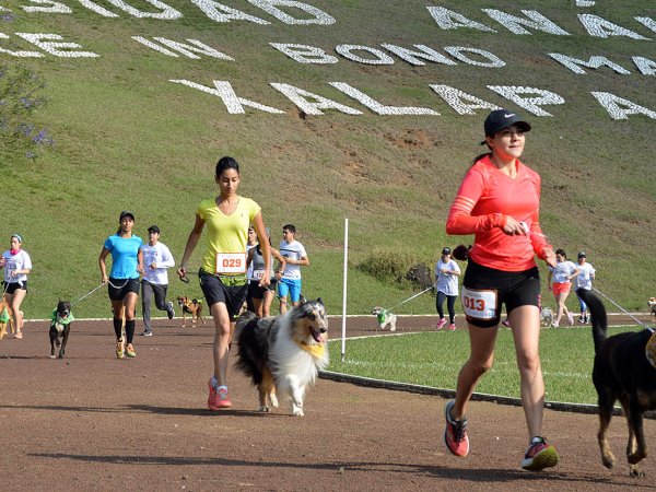 Corriendo con mi Mejor Amigo: Una Carrera con Causa