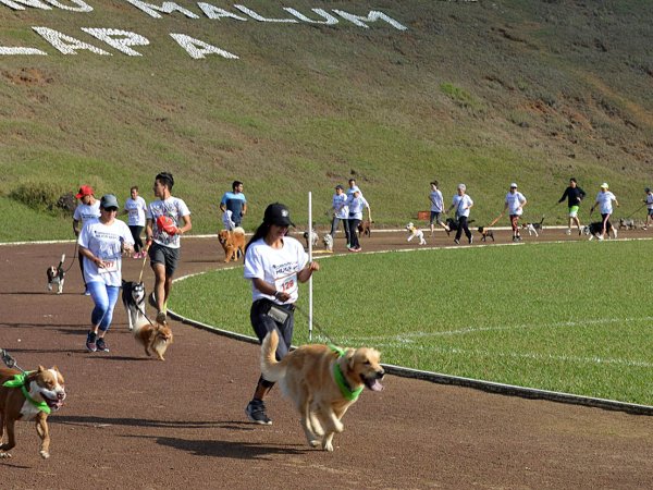 Corriendo con mi Mejor Amigo: Una Carrera con Causa