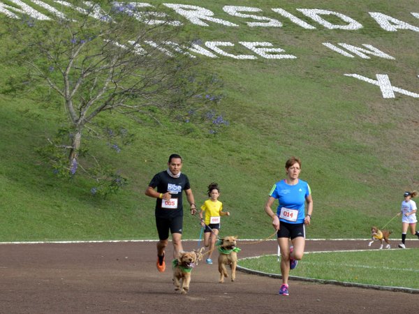 Corriendo con mi Mejor Amigo: Una Carrera con Causa