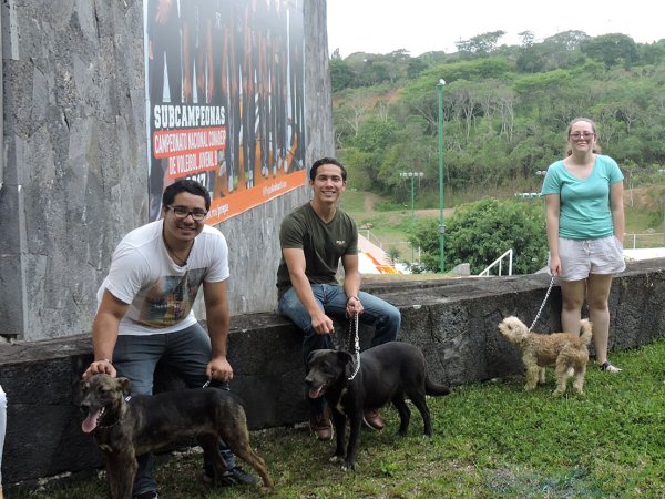Grupo Ingenia en pro de la Vida Digna Animal Canina y Felina