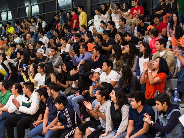 Leones de Basquetbol arrasan de nuevo contra la UV