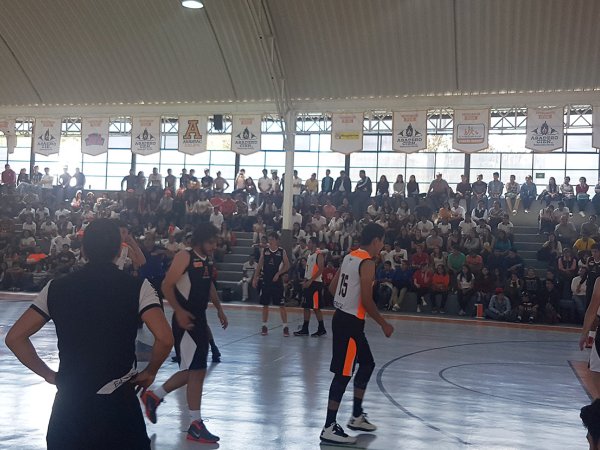 Leones suben al primer lugar de su conferencia